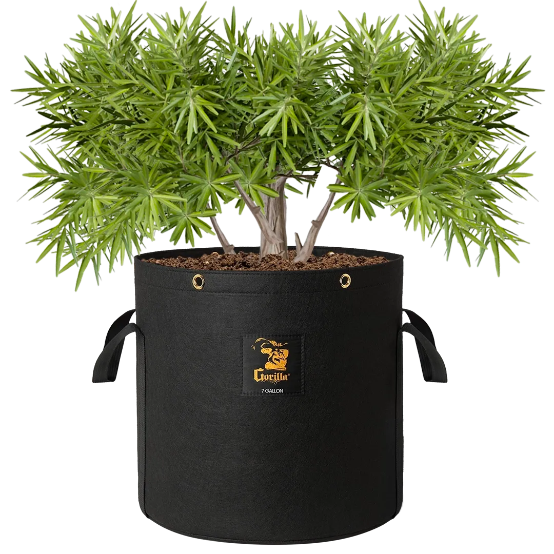 Gorilla 7 Gallon Grow Bag (4 Pack)